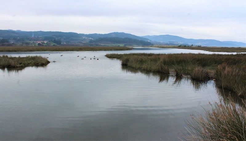 Baldaio  unha das zonas hmidas mis importantes de Galicia